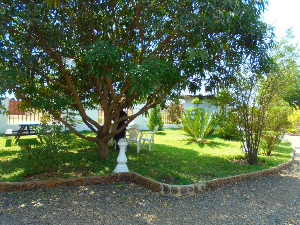 White Rose Lodge Livingstone Eksteriør bilde