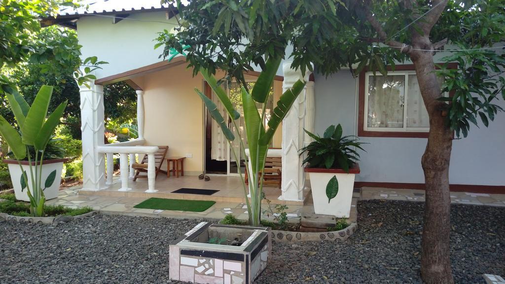 White Rose Lodge Livingstone Eksteriør bilde